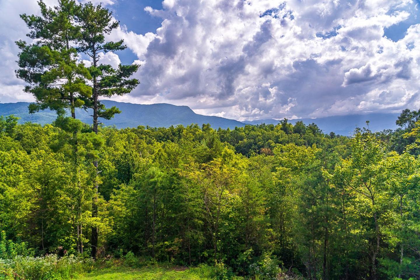 Big Bear Ridge Lodge - Breathtaking Mountain Views And Private Forest Scenes In Amazing Large Log Cabin Gatlinburg Buitenkant foto